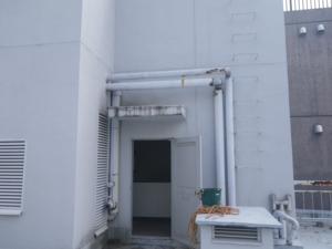 IMGP3568.JPG